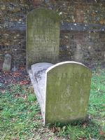 Doe grave ©fnrc